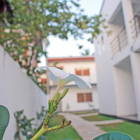 The Anchorage Holiday Apartments - Negombo Extérieur photo